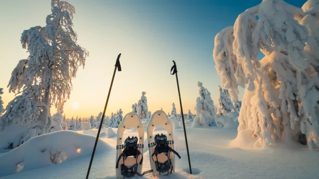 Paesaggio invernale con alberi innevati e racchette da neve