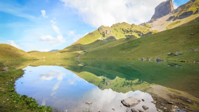 AdobeStock_125712496