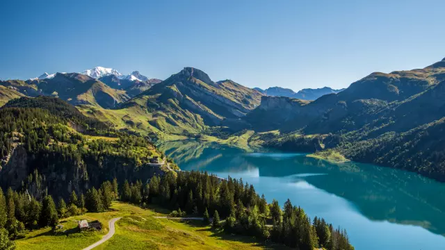 AdobeStock_381457965