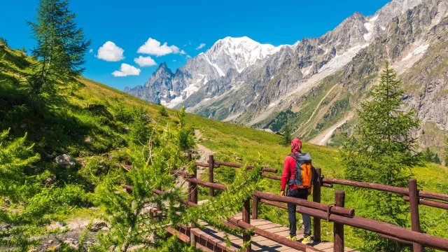 AdobeStock_573259277