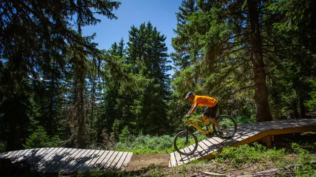 SAISIES-VTTAE©Thuria_049