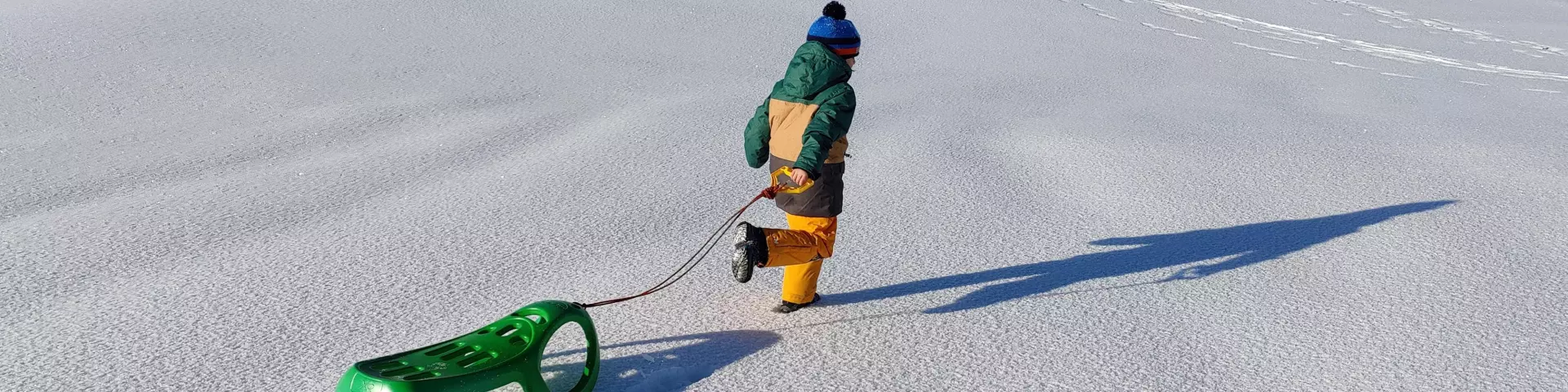 AdobeStock_431387295