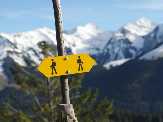 AdobeStock_555955731