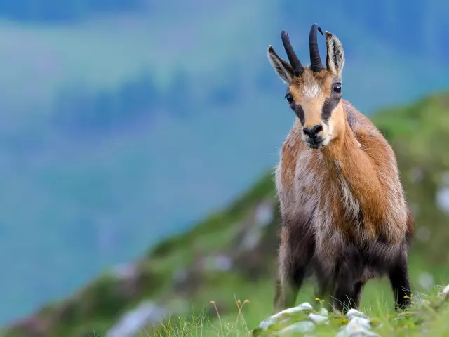 AdobeStock_576681009