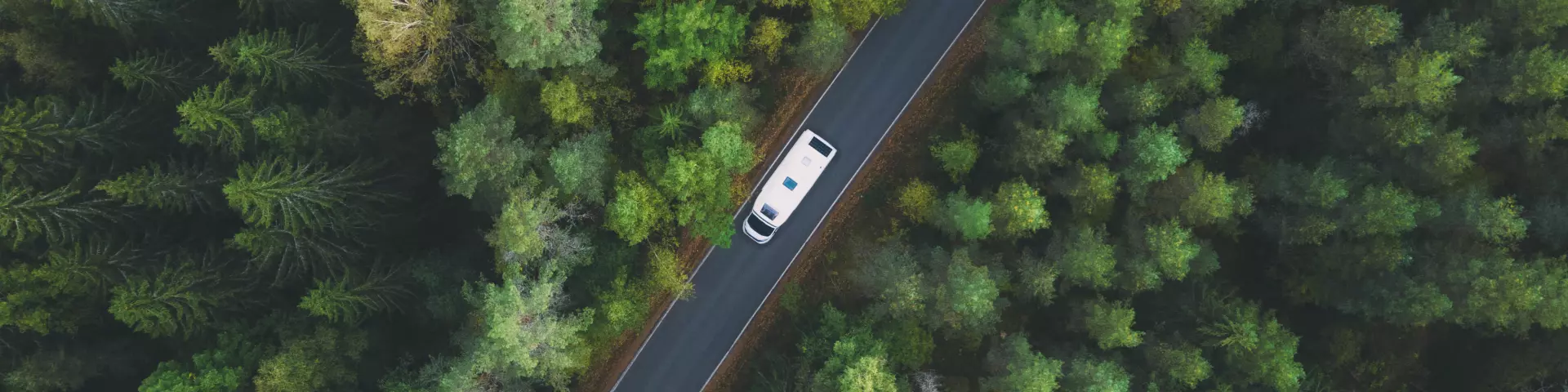 AdobeStock_475882697