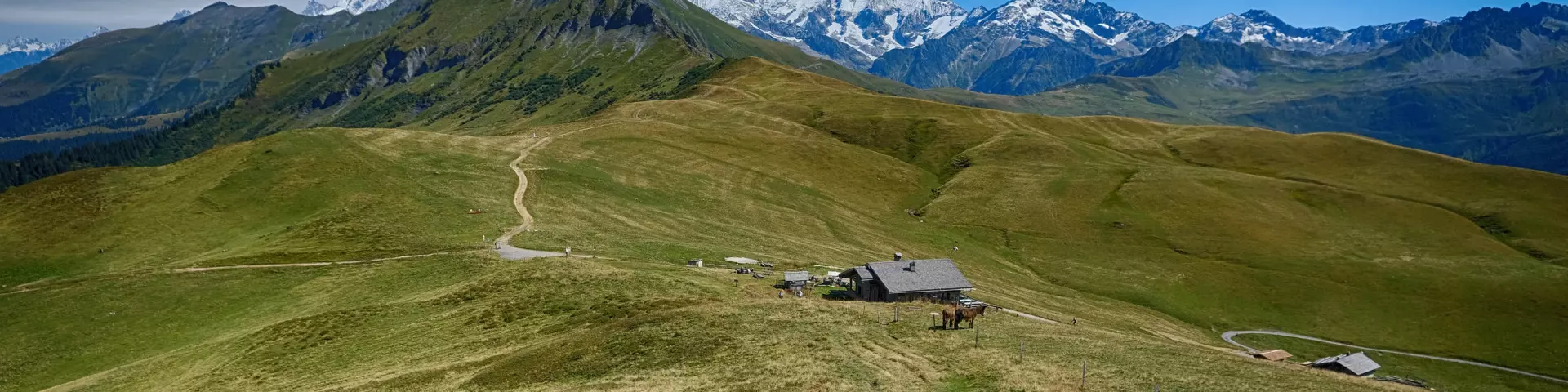 s-jour-en-yourte-camping-refuge-aux-saisies-h-bergement-insolite