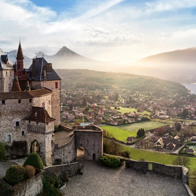 Adobestock 561479400